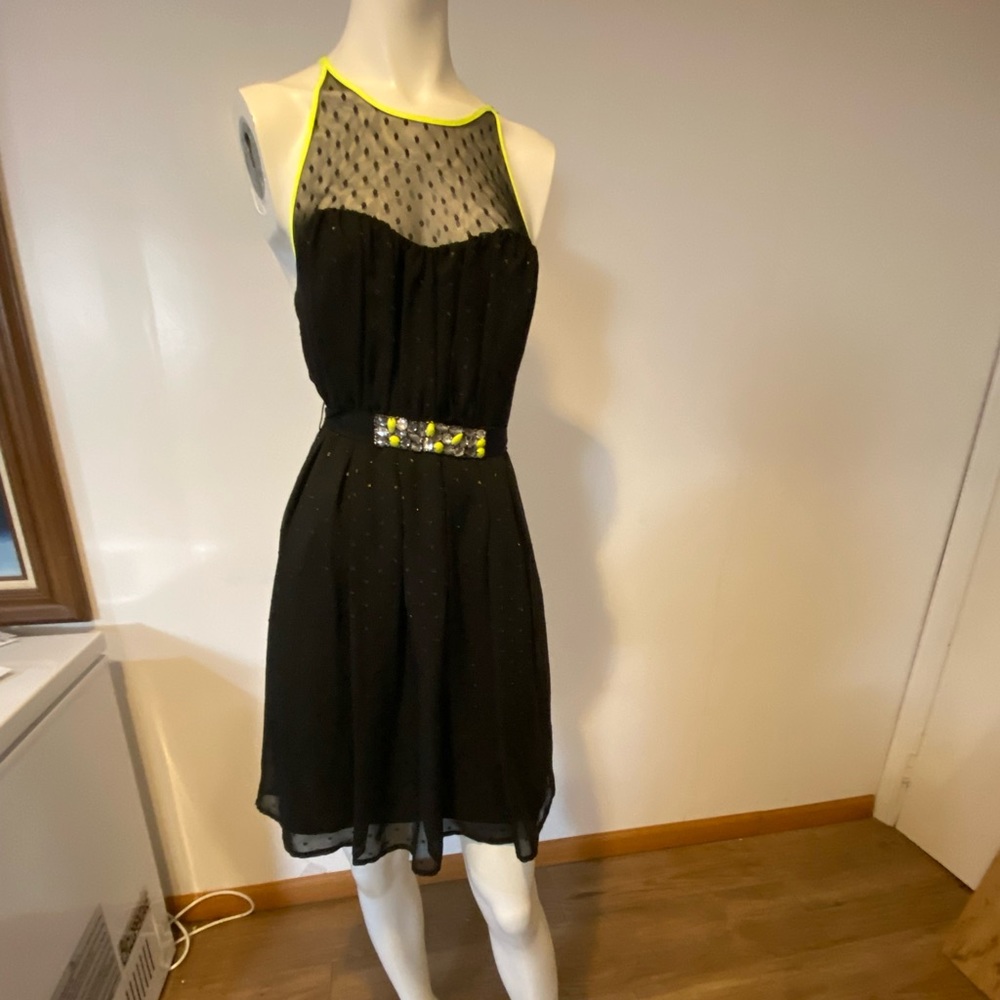 Princess Vera Wang dress